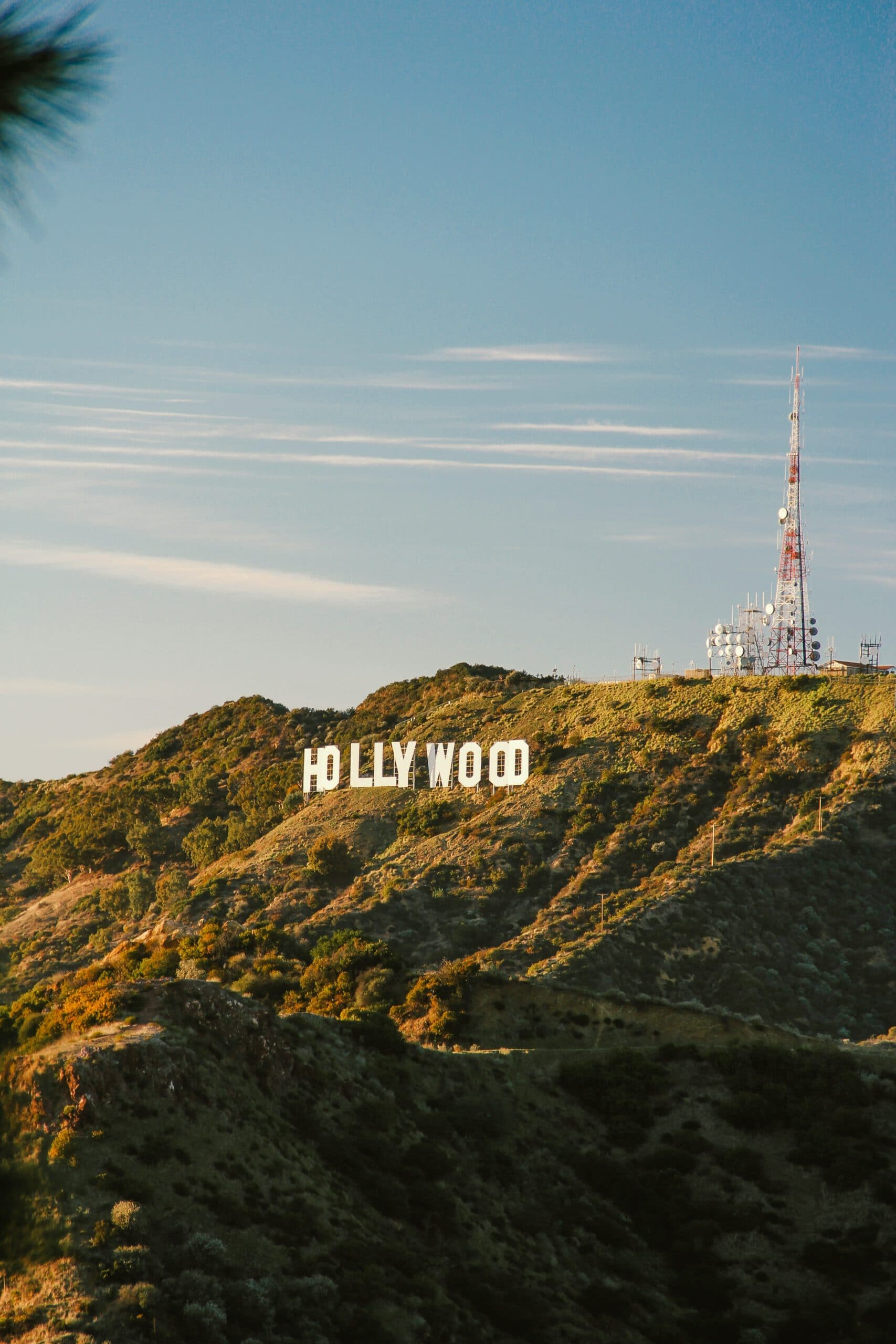 Los Angeles: A Local City Guide Beyond the World Cup